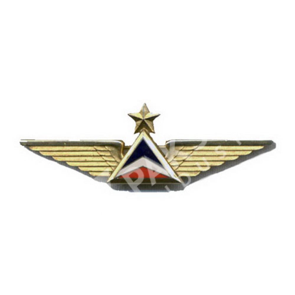 Metal Wings Badge